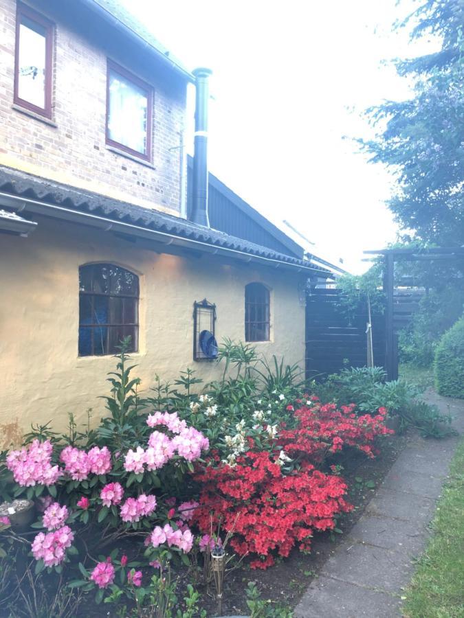 Retro Bolig - Fyldt Med Hygge! Ingen Luksus Lägenhet Kolind Exteriör bild
