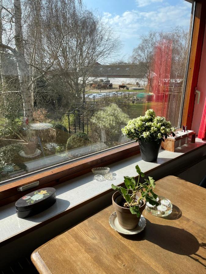 Retro Bolig - Fyldt Med Hygge! Ingen Luksus Lägenhet Kolind Exteriör bild