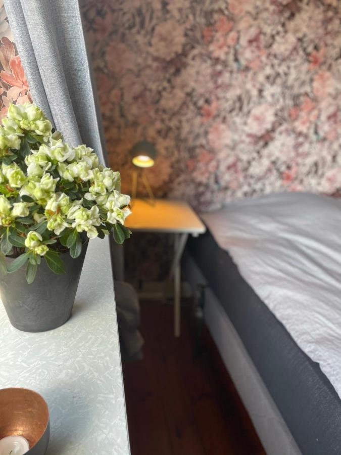 Retro Bolig - Fyldt Med Hygge! Ingen Luksus Lägenhet Kolind Exteriör bild